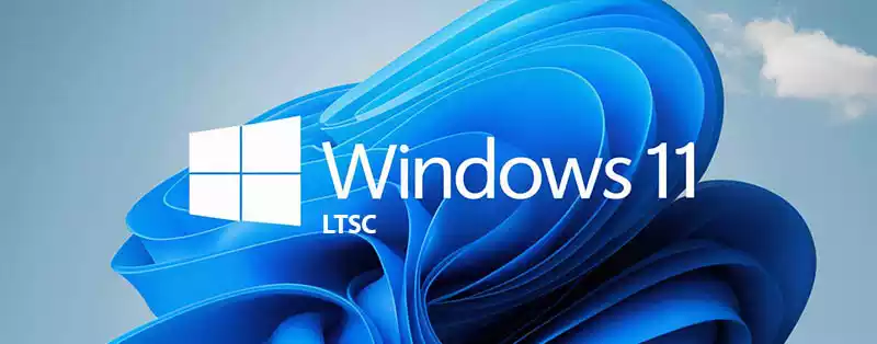 Windows 11 LTSC 2024 官方精简版!简体中文正式版ISO镜像下载|000000.biz